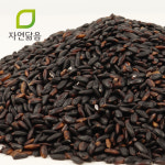 국산 햅쌀 찰흑미 검정쌀 5kg 찹쌀 흑미 : 자연닮음