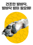 보가덴트 케어 강아지발 관리 포 밤 프로젝트 세척 거친피부 산책이 많은 아이 : 럭셔리펫플