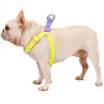 강아지 옴브레 디자인 하네스 콤비컬러 가슴줄 : 에스트로펫