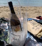 칠링백/ 데이스위밍클럽/ 감성백/ 피크닉백 : 데이 스위밍 클럽