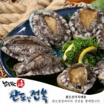 [완도] 참전복19-20미 (1kg기준/2-3년산) : 남도맛해