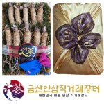 금산인삼종합상사2호 | 금산인삼 수삼선물세트 선물포장소2호 : 금산인삼장터