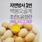 (정기배송)자연방사 1번 백봉오골계 초란 & 유정란 농장직영 직배송 : 백봉농장