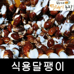 식용달팽이 (달팽이농장) 건강요리 관절 피부 뮤신 : 복동이네달팽이농장