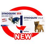 사이노퀸 소형견용 관절영양제 알약형 30정 : 파라곤동물병원 스토어