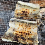 남해안 통영 바다장어 1kg 대 특대 장어 1키로 아나고 바닷장어 구이 붕장어 아나고 : 잘잘잘가게