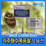 [다양한 디자인의 다온] 수목 표찰 제작/나무/이름/꽃/식물/안내판/화단/꽃 표찰/아크릴 표찰 : 다온1