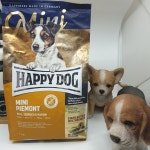 해피독 미니피에몬테 미니아일랜드 기호성 좋은 사료 저단백 관절보호 눈물사료 1kg : 워리워리