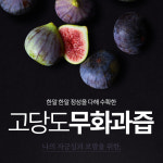 고당도 삼호 영암무화과즙 50포, 100포 : 영오네무화과농장