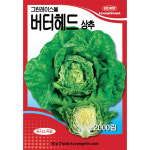 유럽상추씨앗 2000립 그린레이스볼 파종용 버터헤드 상추종자 경신종묘 : 경신종묘