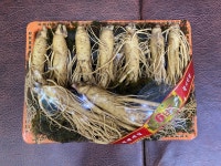 풍기인삼 시장 5년근 6년근 수삼 선물세트(보자기 포장) : 상도인삼사