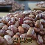충북 충주 24년산 국산 강낭콩 1kg 호랑이콩 양대 호랑이강낭콩 : 밥보야