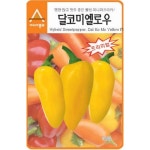 채소 씨앗 - 파프리카씨앗종자 달코미옐로우 파프키라(10립) : 양주농부이범석