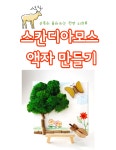 스칸디아모스 액자 (숲속친구들) DIY 특강수업 키트 : 뚱딴지 잡화점