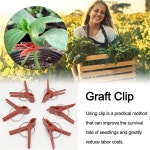 고품질 식물 이식 클립 플라스틱 고정 고정 고정 장치 클램프 정원 도구 오이 가지 수박 이식, 50 개_Flat mouth graft_2 : -세븐스토어-