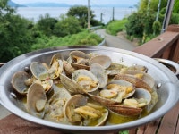 [삼남매전복] 바지락 술찜 와인안주 캠핑요리 활 바지락 거제도 장목 바지락 : 삼남매전복과해물뚝배기
