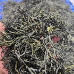 완도 청각 건청각 마른청각 김장양념 재료 200g 500g 1kg : 초록수산