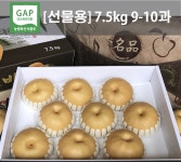 나주배 5KG 7.5KG 15KG 선물세트 가정용 신고배 추황배 : 서강농원 나주배농장