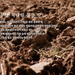 오대 캠핑쌀 1kgx2 잔류농약 불검출 단일 특등미 게르마늄 농장 25년산 햅쌀 : 게르마늄농장