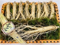 풍기인삼 햇수삼 정품 황삼 난발 1채(750g) 선택다양 : 풍기금계농장