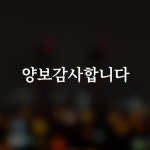 명조 양보감사 MJ007 차량스티커 안전 배려 자동차 극한 결초보은 매너 시트컷팅 모노밤 : 모노밤