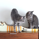 아이캣 iCat 70cm 태비 무늬 롱 평판 대형 고양이 스크래쳐 : 고양이용품 미유캣츠