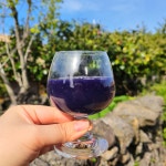 띠앗농장 물없이 60도 저온 추출 빨간 양배추즙 30포 : 띠앗농장