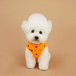 리틀콜린 Basic Dot Sleeveless Shirt 베이직 도트 슬리브리스 셔츠_ Orange : 철수마켓