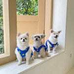 오마이베어 원피스(리뉴얼 전ver) : 헤이오 HEY-OH