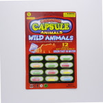 커지는 캡슐 스펀지 목욕놀이 6종 공룡 인어 유니콘 동물 어린이집 유아 아기 물놀이 알약 : 토이토잡화점