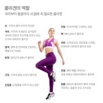 약국콜라겐 물에타먹는 동물성 생 콜라겐 : 짱구네만물상