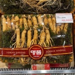 [대구백화점] [천년홍삼]백년세트 수삼 750g : 대구백화점