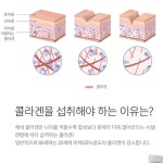 약국콜라겐 물에타먹는 동물성 생 콜라겐 : 짱구네만물상