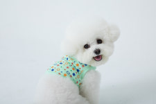 ARW 크롭티-Mint : 에어라이스워터