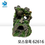 피쉬코리아 모스유목 62616 : 아쿠아펫수족관