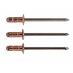 명화 리벳 못 동 4.0mmX10mm 직결피스 못 나사 볼트 : 모두팔아샵