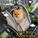 댕댕e마을 반려동물 여름용 이동장 [모기장 가방] 편안한 가방형 이동장 : 댕댕e마을