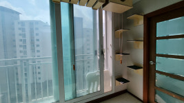 캣워커 고양이 벽타워 선반 숨숨집 구름다리 원목 놀이터 인테리어 용인 아파트 거실 패키지 : 플레이캣