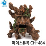 피쉬코리아 페이스유목 ch484(S) : 아쿠아펫수족관