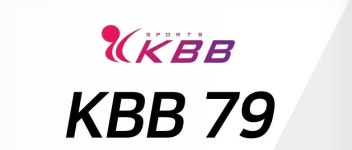 KBB79 셔틀콕 배드민턴 거위털 깃털 동호회 최고급형 : SM 스포츠