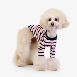 펫파파 빠삐용 긴팔 티셔츠 (핑크) 강아지 고양이 옷 가을 겨울 기모 신축성 맨투맨 : 로얄펫샵