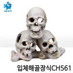 피쉬코리아 해골 ch561 : 아쿠아펫수족관