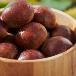 공주밤 25년도 햇밤 옥광밤 정안 왕밤 알밤 생율 대보 칼집 GAP 2kg : 시골박사