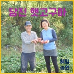 당진 호박고구마 소담미 밤고구마 꿀고구마 10kg 5kg 3kg 농부 직판매 : 혜림농원