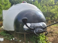 돔하우스 무당벌레  봉이나라 동화나라  캐릭터하우스 9평 FRP : 봉이나라 돔하우스