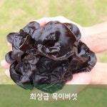 무농약 유기농 탱글탱글 유명산한들농원목이버섯 : 유명산 한들농원