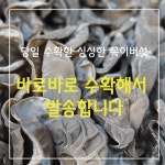 무농약 유기농 탱글탱글 유명산한들농원목이버섯 : 유명산 한들농원
