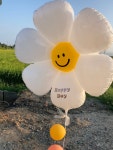 데이지 daisy 은박풍선 안산 파티 풍선 헬륨 스마일 꽃풍선 : 이브파렌티Evparenty