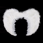 천사날개 (소) 10개 : 아비투스 HABITUS.