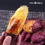 당진 지은농원 베니지민 무농약 세척 고구마 베니하루카 호박 밤 꿀고구마 : 사장이 미쳤어요